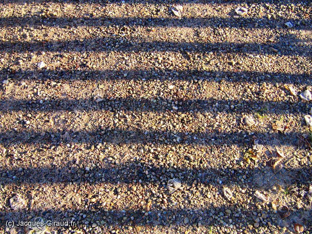 2005-11-20 08-55-57 Novembre 37,6mm 1_320_eme F5,0.JPG